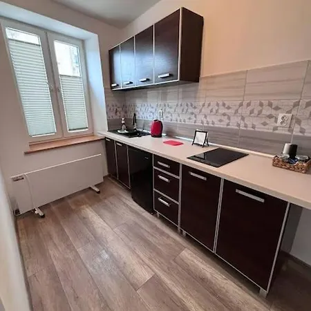 Narozna Kawalerka 49 Apartment Łódź