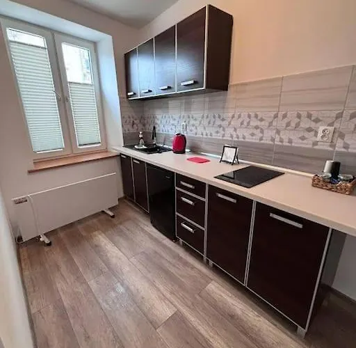 Narożna Kawalerka 49 Apartament Łódź
